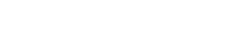 sfk-vit-logo-lang